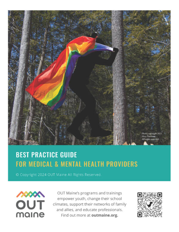 Best Practices for Medical and Mental Health Providers of LGBTQIA2S+ Clients - DOWNLOAD